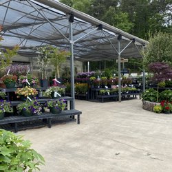 Mebane Shrubbery - Greenhouse