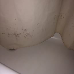 Moldy bath curtains...scary as hell Moldy bath curtains...scary as hell