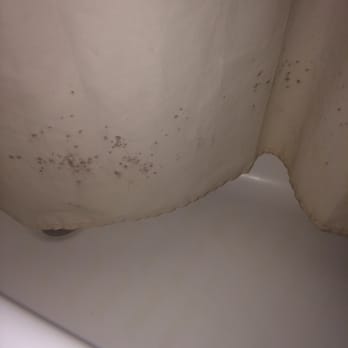 Royal Palms Motel - Moldy bath curtains...scary as hell - Hotels Near Me - Concord, California Royal Palms Motel - Moldy bath curtains...scary as hell - Hotels Near Me - Concord, California