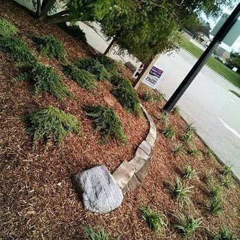 Pro Cuts Landscaping & Lawn Care - Full overhaul on plants, with Natural Cedar mulch - Tree Services Near Me Pro Cuts Landscaping & Lawn Care - Full overhaul on plants, with Natural Cedar mulch - Tree Services Near Me