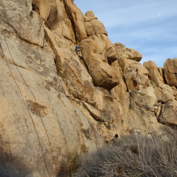Joshua Tree Adventures - Tours Near Me