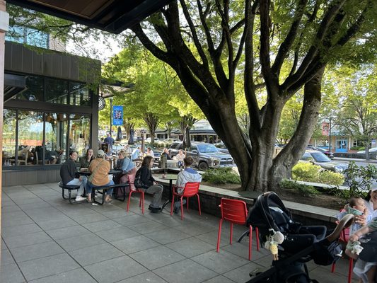 Salt & Straw by null