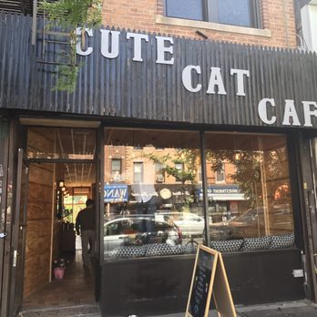 Cute Cat Cafe - Great new cafe located in Ridgewood, NY - Breakfast & Brunch Near Me - Ridgewood, New York Cute Cat Cafe - Great new cafe located in Ridgewood, NY - Breakfast & Brunch Near Me - Ridgewood, New York