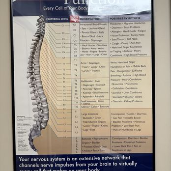 Miller Chiropractic - Spinal nerve function - Chiropractors Near Me - East Providence, Rhode Island Miller Chiropractic - Spinal nerve function - Chiropractors Near Me - East Providence, Rhode Island