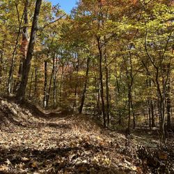 Gary's Family Campground - Hiking and mountain biking trails on the property