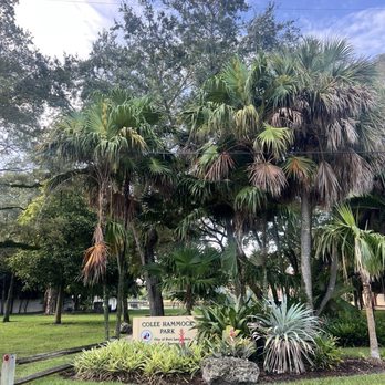 Colee Hammock Park - Parks Near Me - Fort Lauderdale, Florida Colee Hammock Park - Parks Near Me - Fort Lauderdale, Florida