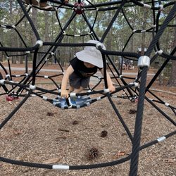 Halyburton Park
