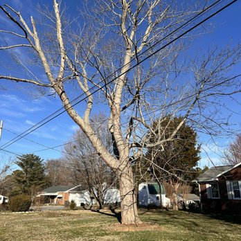 H&H Tree Care - Tree Services Near Me H&H Tree Care - Tree Services Near Me