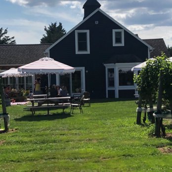 Terra Vite - Wineries Near Me - Jamesport, New York