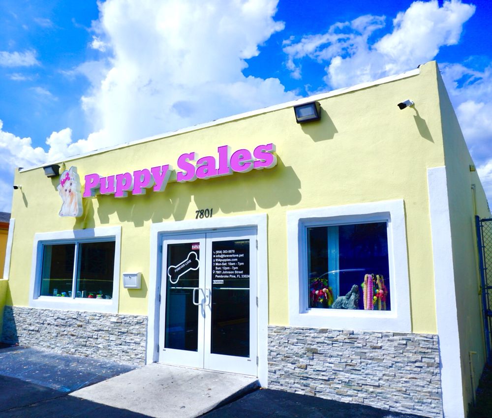 Forever Love Puppies Pembroke Pines Reviews