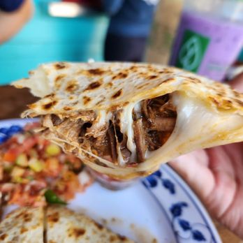 TNT Taqueria - Braised Beef Quesadilla - Mexican Near Me - Seattle, Washington TNT Taqueria - Braised Beef Quesadilla - Mexican Near Me - Seattle, Washington