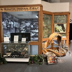 Brevard Museum of History & Natural Science - South Indian Field Display room
