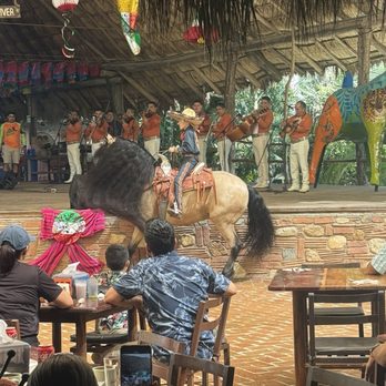 Canopy River Park - Performance - Hiking Near Me - Zona Hotelera Norte, JAL