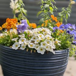 Solstice Landscaping