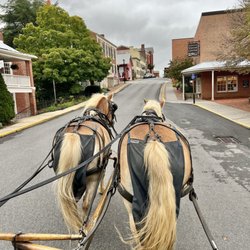 Lexington Carriage - Trotting down the road