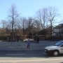 Photo of Den grønne kile