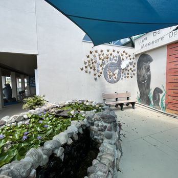 Manatee Center - Measure up Mural - Children's Museums Near Me - Fort Pierce, Florida Manatee Center - Measure up Mural - Children's Museums Near Me - Fort Pierce, Florida