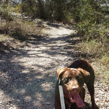 Comanche Lookout Park - Walking the dog - Parks Near Me - San Antonio, Texas