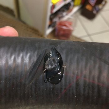 Funck's Exxon At Grantville - a crack in the tube - Convenience Stores Near Me - Grantville, Pennsylvania Funck's Exxon At Grantville - a crack in the tube - Convenience Stores Near Me - Grantville, Pennsylvania