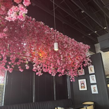 Chubby Cat Sushi - Sushi Bars Near Me - Delray Beach, Florida Chubby Cat Sushi - Sushi Bars Near Me - Delray Beach, Florida