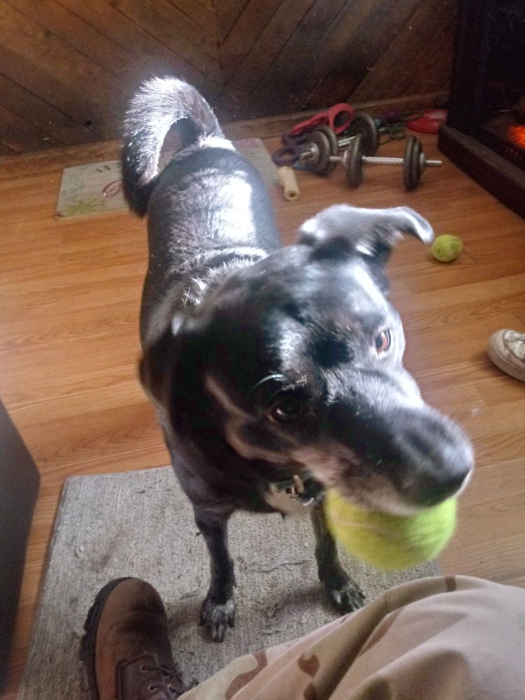 Slide of Walter Plumbing Service