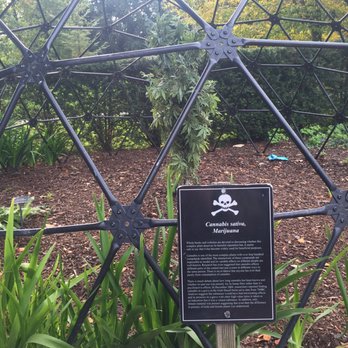 Blarney Castle - Poison garden - Landmarks & Historical Buildings Near Me - Blarney, Colorado
