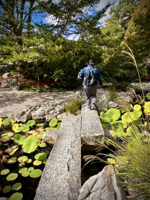 Norfolk Botanical Garden by null