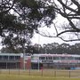 Photo of Wynnum Manly Junior Rugby League Club