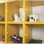 Photo of Nelly's Ark