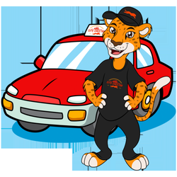 City Cheetah - Become a Cheetah driver