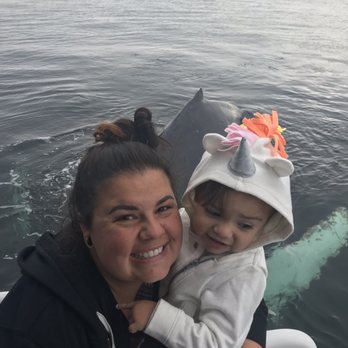 Puget Sound Express - Are you kidding- look at how close this whale is! - Boat Charters Near Me - Port Townsend, Washington