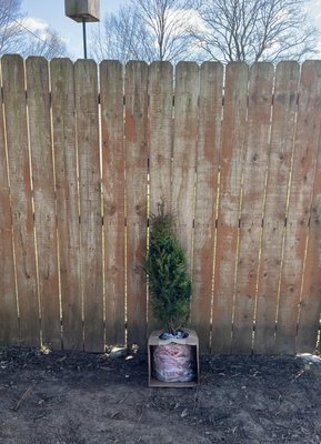 Gardens Of The World