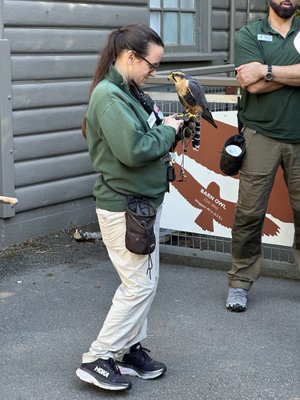 Woodland Park Zoo by null