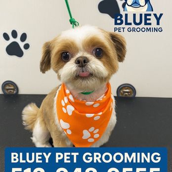 Bluey Pet Grooming - Pet Groomers Near Me Bluey Pet Grooming - Pet Groomers Near Me