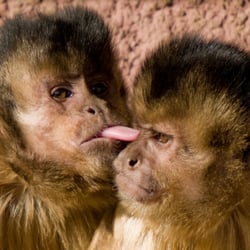 Olmense Zoo
