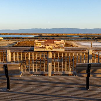 Eden Landing Ecological Reserve - On the boardwalk there's some history facts to explore. - Local Flavor Near Me - Hayward, California Eden Landing Ecological Reserve - On the boardwalk there's some history facts to explore. - Local Flavor Near Me - Hayward, California