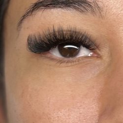 Alma Amor Artistry - Volume Set