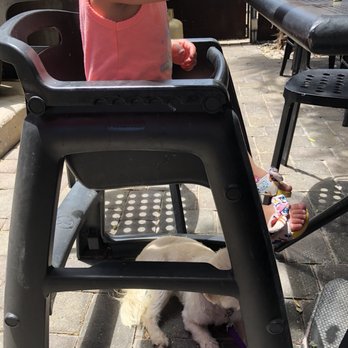 32 Shea - Patio seating dog friendly - Coffee & Tea Near Me - Phoenix, Arizona