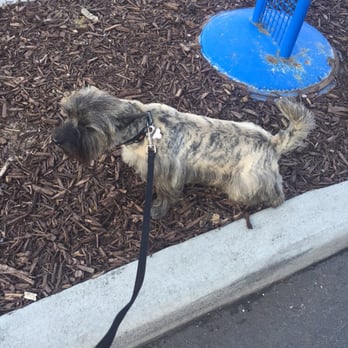 PetSmart - Dex with the '-__-' face while taking a piss. - Pet Stores Near Me - Atlanta, Georgia