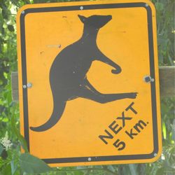 Lena KOA - Kangaroo Crossing