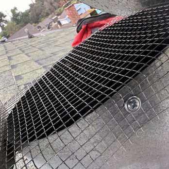 Spartan Pest Control - Pest Control Near Me - Pasadena, California Spartan Pest Control - Pest Control Near Me - Pasadena, California