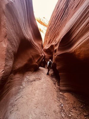 Lake Powell Paddleboards and Kayaks by null