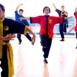 Lishi Tai Chi, Qi Ging & Kung Fu