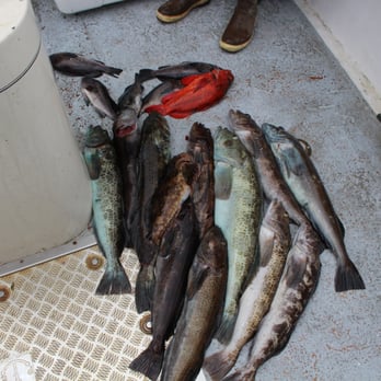 Chartle Charters - Not bad for a days catch! - Boat Charters Near Me - Santa Cruz, California