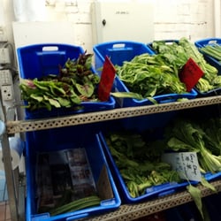 Yuen's Market Trading - Vegetables