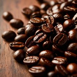 The Espresso Masters