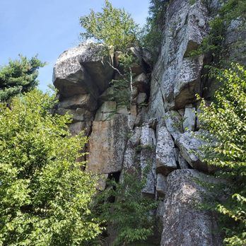 The Lemon Squeeze - Trail - Local Flavor Near Me