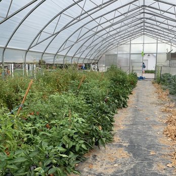 The Tap Room - One of the Bird Creek Farms' greenhouses! - Pubs Near Me - Port Austin, Michigan The Tap Room - One of the Bird Creek Farms' greenhouses! - Pubs Near Me - Port Austin, Michigan