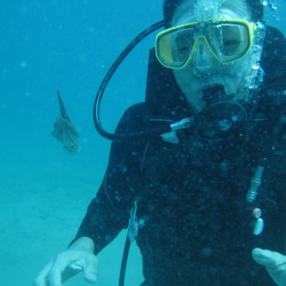 Manini Dive Company Hawaii - Octopus took off from me jus tlike the turtle hid from me... - Scuba Diving Near Me - Honolulu, Hawaii