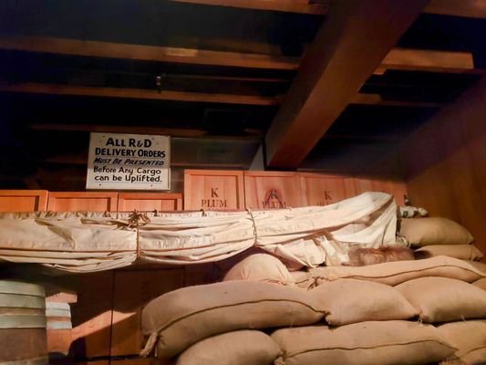 Wellington Museum by null